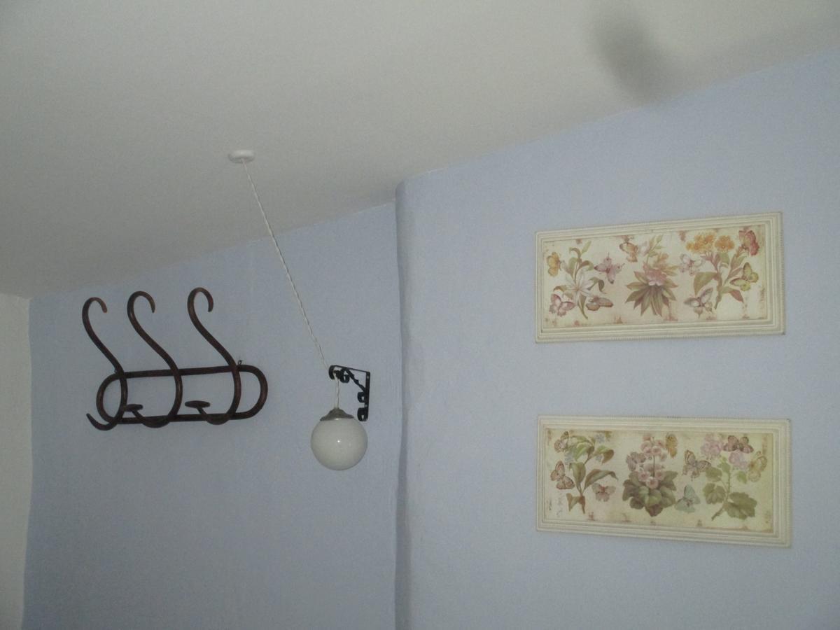 Hostal Los Aromas ビリェーナ エクステリア 写真